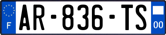 AR-836-TS