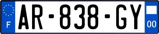 AR-838-GY