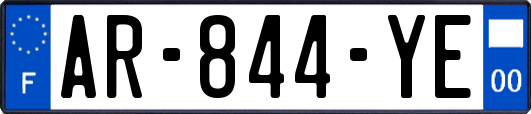 AR-844-YE