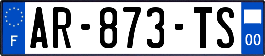 AR-873-TS