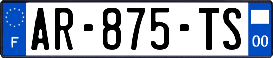 AR-875-TS