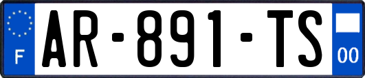 AR-891-TS