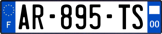 AR-895-TS