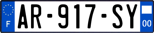 AR-917-SY