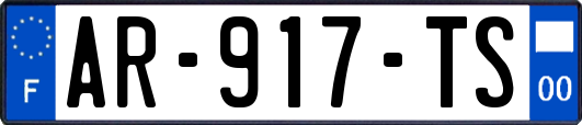 AR-917-TS