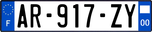 AR-917-ZY