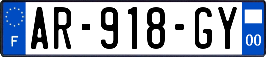 AR-918-GY