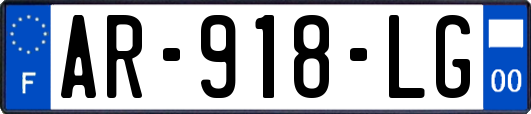 AR-918-LG