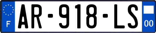 AR-918-LS