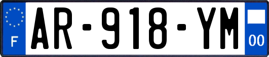AR-918-YM