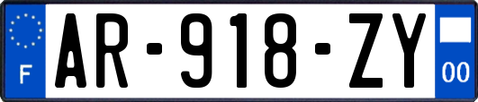 AR-918-ZY