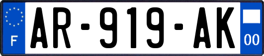 AR-919-AK