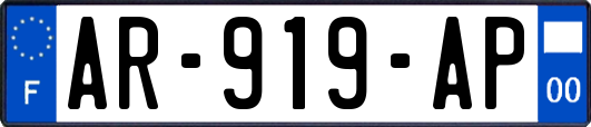 AR-919-AP