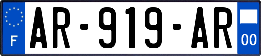 AR-919-AR