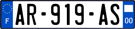 AR-919-AS