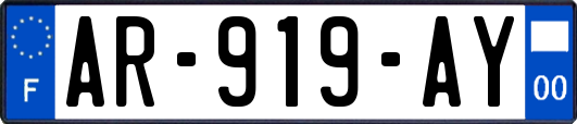 AR-919-AY