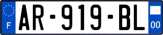 AR-919-BL