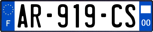 AR-919-CS