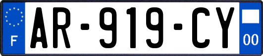 AR-919-CY
