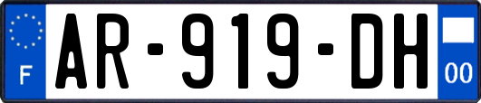 AR-919-DH