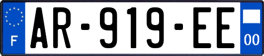 AR-919-EE