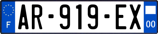 AR-919-EX