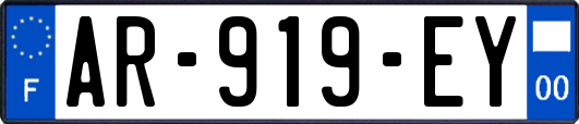 AR-919-EY