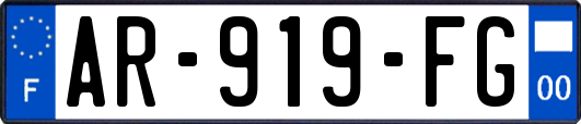 AR-919-FG