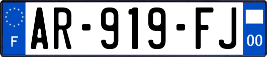 AR-919-FJ