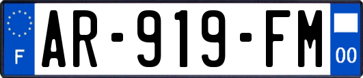 AR-919-FM