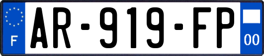 AR-919-FP