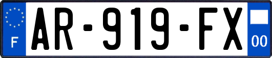 AR-919-FX