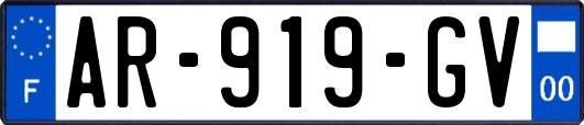 AR-919-GV