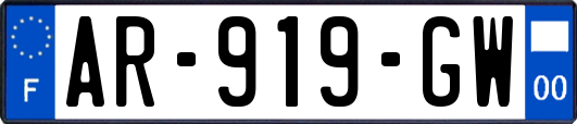 AR-919-GW