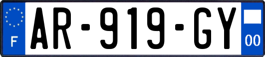 AR-919-GY