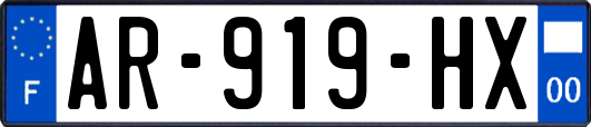 AR-919-HX