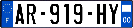 AR-919-HY