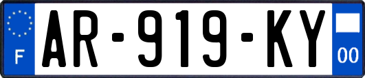 AR-919-KY