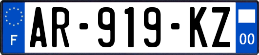 AR-919-KZ