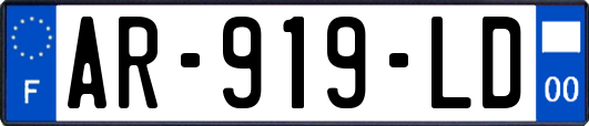 AR-919-LD