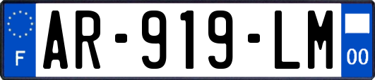 AR-919-LM