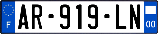 AR-919-LN