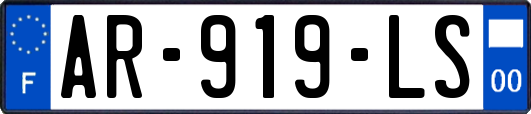 AR-919-LS