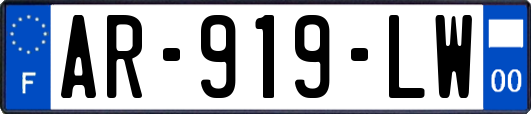 AR-919-LW