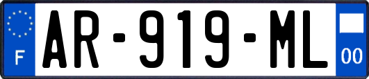 AR-919-ML