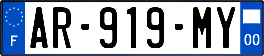 AR-919-MY