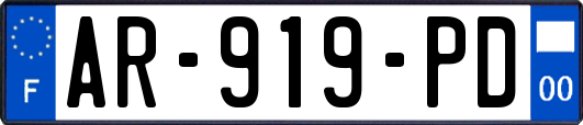 AR-919-PD