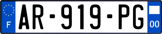 AR-919-PG