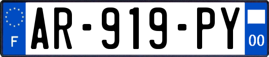AR-919-PY