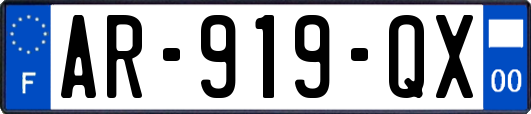 AR-919-QX